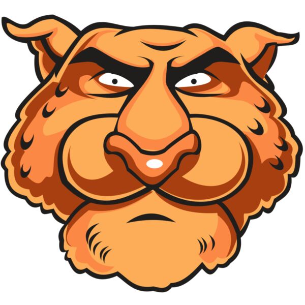 CHEETAH HD0501 RQC Thumbnail