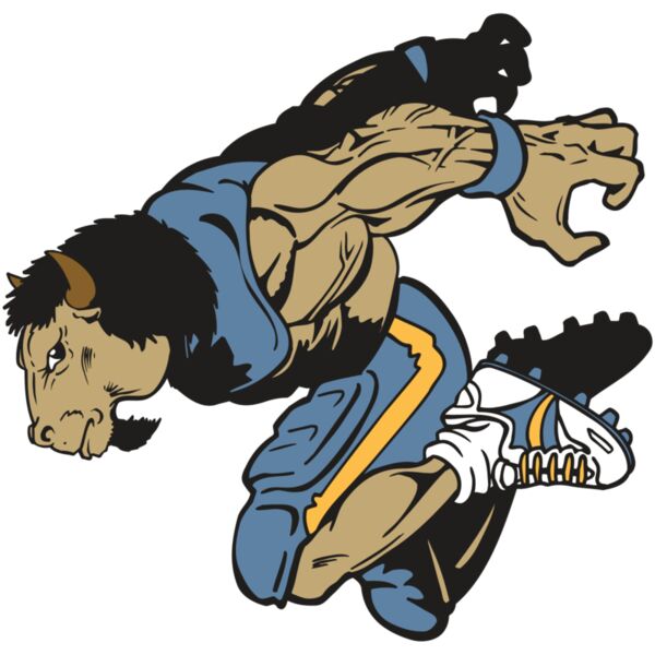 AR14 BUFFALO FBLL 07 RQC Thumbnail